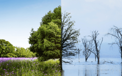 Quan l’emergència climàtica entra per la porta de la feina