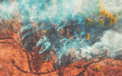 Per què el lucre provoca la crisi climàtica?