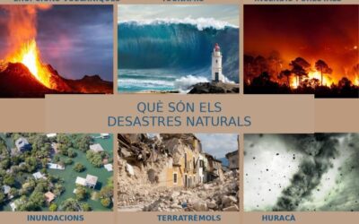 PROTOCOL CATÀSTROFES NATURALS