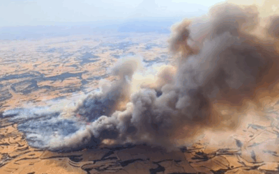 Els incendis de sisena generació posen al límit els serveis d’emergència: calen mesures estructurals i urgents